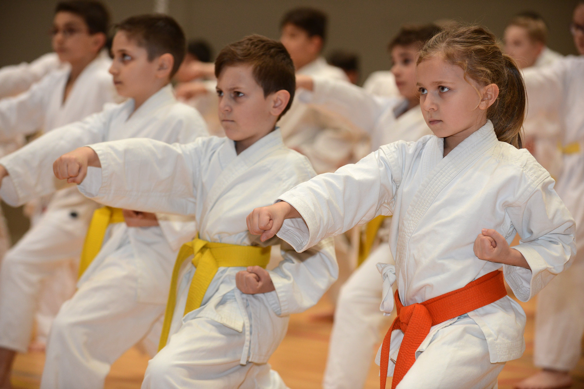 lastig heden solo Karate voor kinderen | Karate Vlaanderen